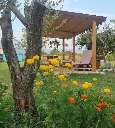 Bed & Breakfast Ballkan 1